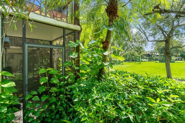 view of yard featuring a sunroom