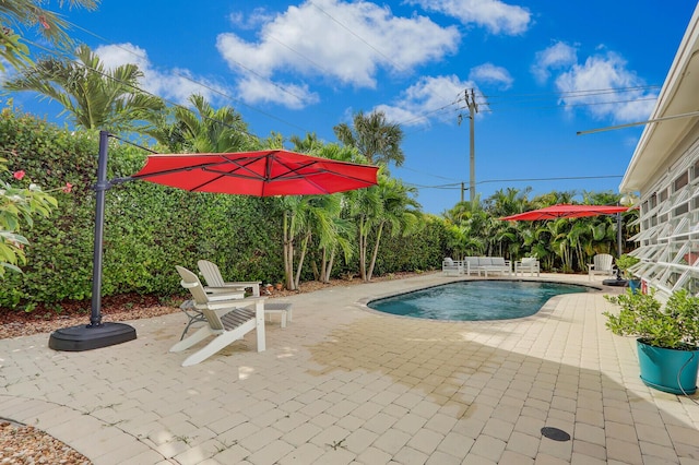 view of swimming pool with an outdoor hangout area and a patio