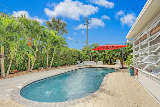 view of pool with outdoor lounge area and a patio