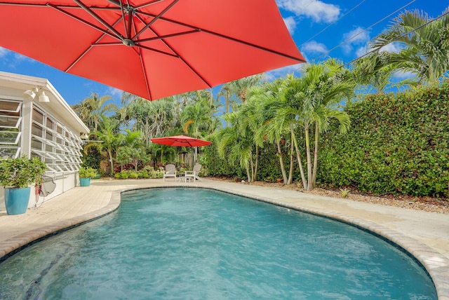 view of swimming pool featuring a patio