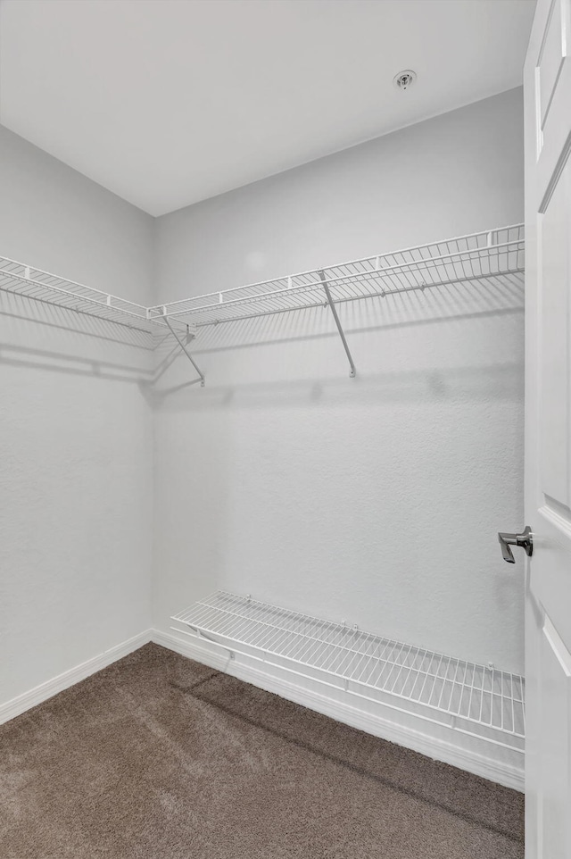 walk in closet with carpet