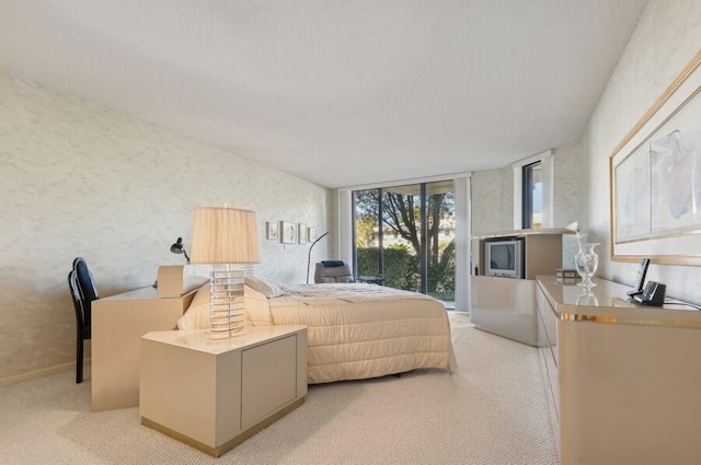 carpeted bedroom with expansive windows