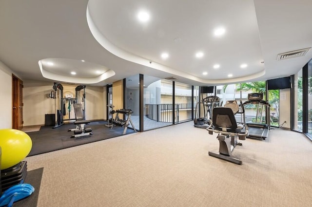 workout area with floor to ceiling windows and a tray ceiling