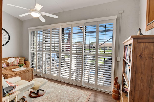 living area with ceiling fan, a wealth of natural light, and dark hardwood / wood-style flooring