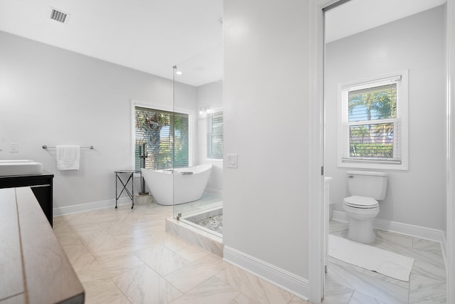 bathroom with vanity, a washtub, and toilet