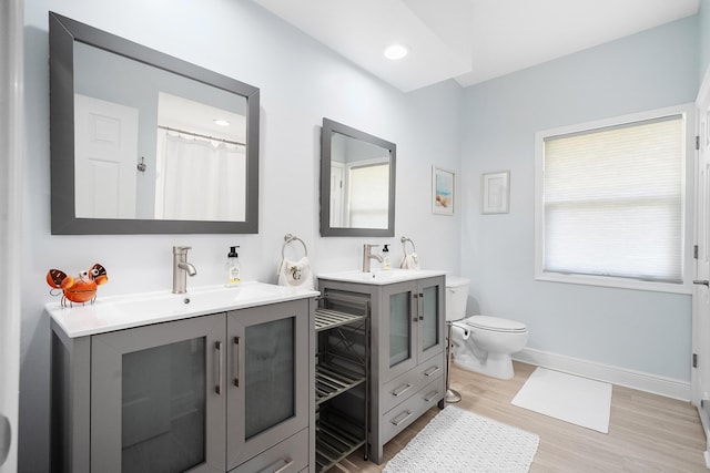 bathroom with hardwood / wood-style flooring, vanity, and toilet