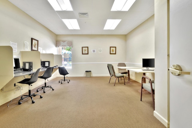 carpeted office space featuring a drop ceiling