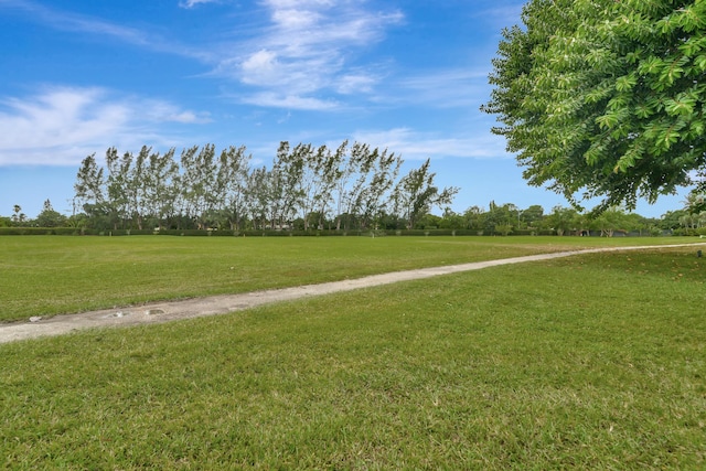 view of home's community with a yard