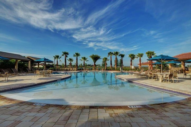 view of swimming pool featuring a patio area