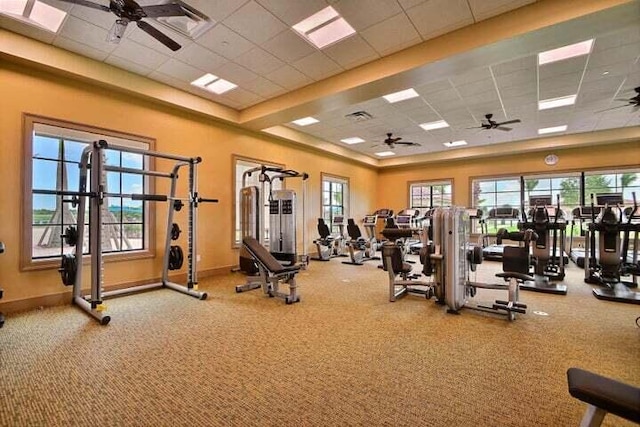 workout area featuring carpet floors, a paneled ceiling, and ceiling fan