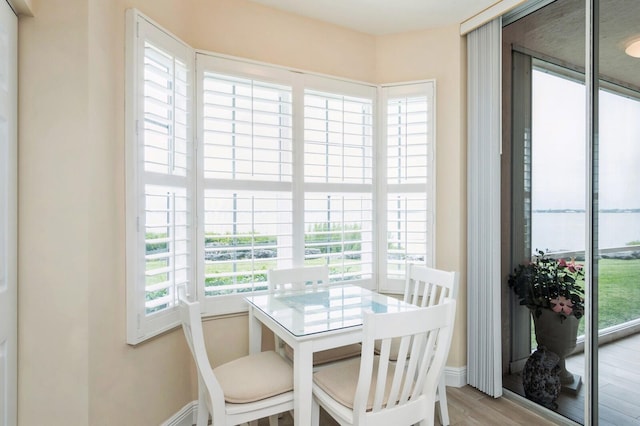 dining room with light hardwood / wood-style flooring