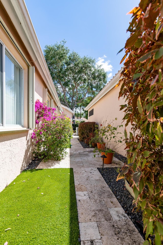 view of yard featuring a patio area