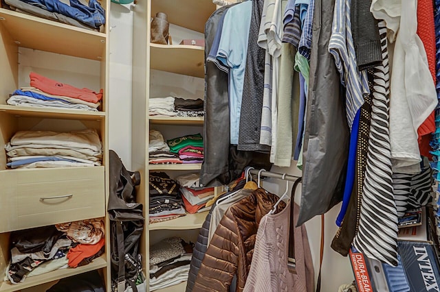 view of spacious closet