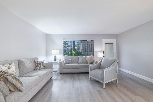 living room featuring wood-type flooring