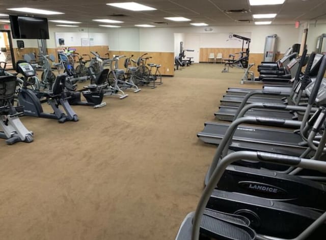 workout area with carpet and a paneled ceiling