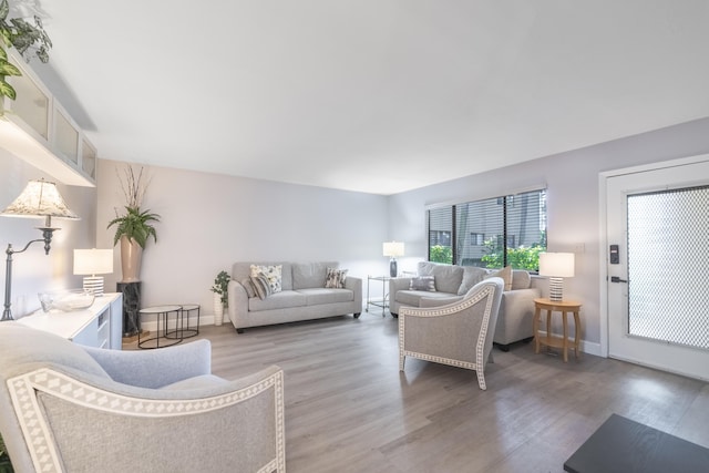 living room featuring hardwood / wood-style flooring