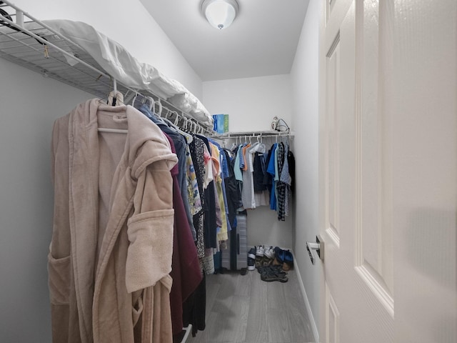 walk in closet featuring hardwood / wood-style floors