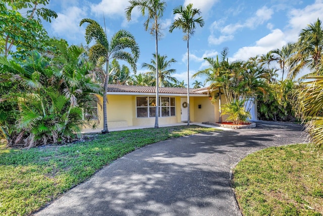 ranch-style house featuring aphalt driveway, a front lawn, and stucco siding