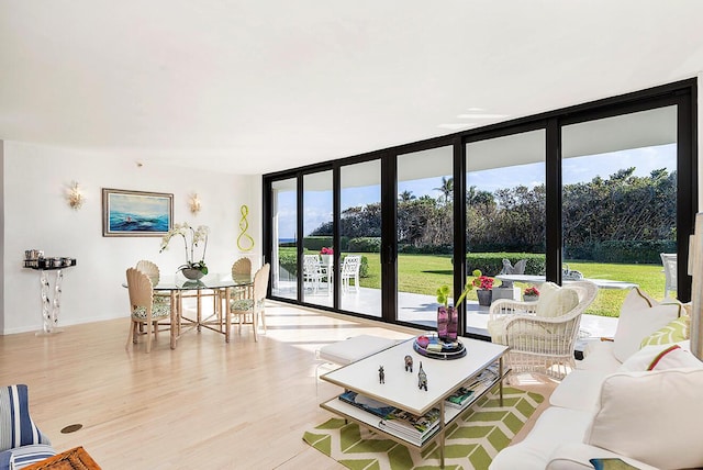 living room featuring floor to ceiling windows and light wood-type flooring