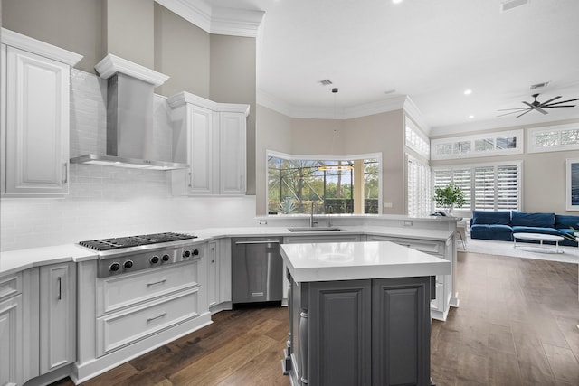 kitchen featuring sink, wall chimney range hood, dark wood-type flooring, stainless steel appliances, and a kitchen island