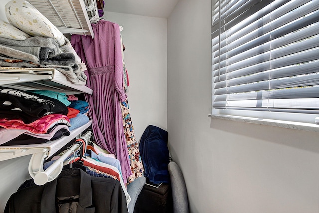 view of walk in closet