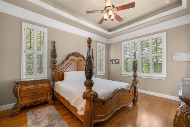 walk in closet with dark wood-type flooring