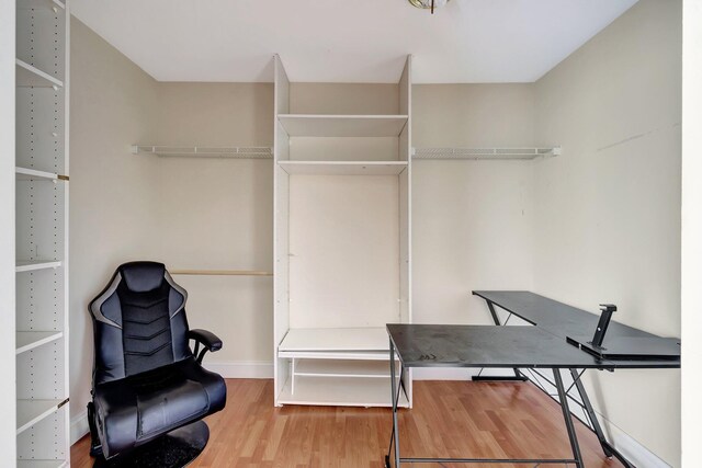 walk in closet featuring hardwood / wood-style flooring