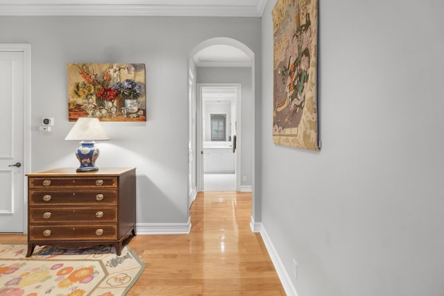 hallway with crown molding and light hardwood / wood-style flooring