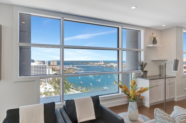 interior space with a water view, dark hardwood / wood-style floors, and a wealth of natural light