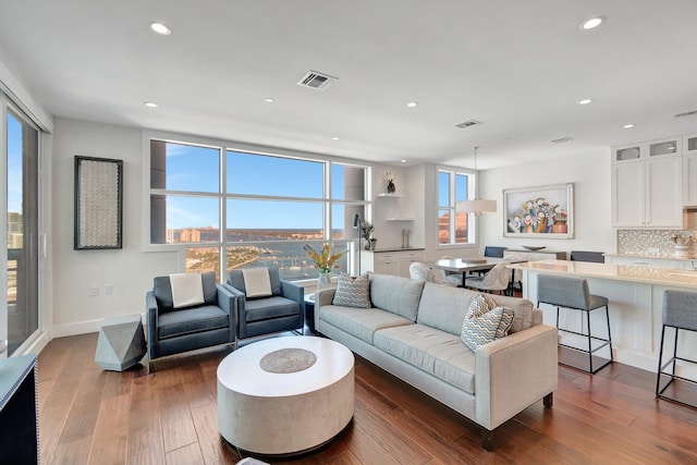 living room with hardwood / wood-style flooring and a wealth of natural light