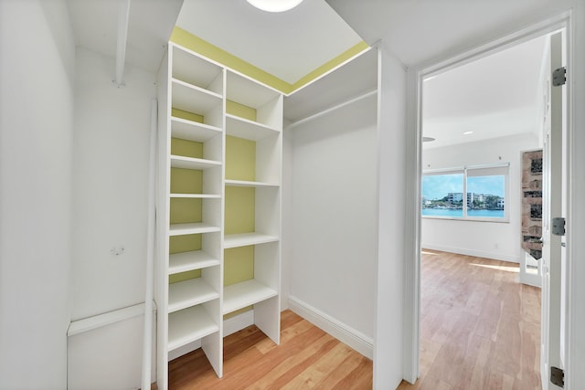 walk in closet with wood finished floors