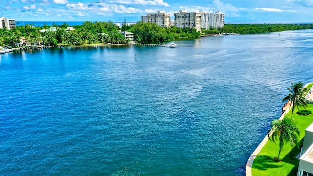 property view of water with a city view