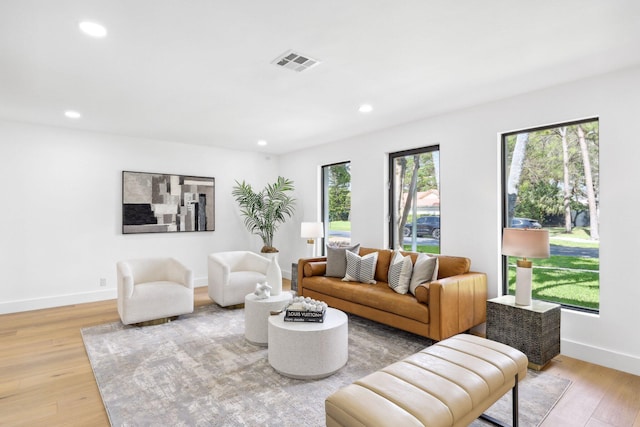 living room with light hardwood / wood-style flooring