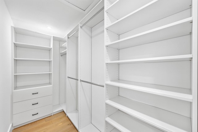 walk in closet with wood-type flooring