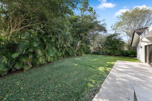 view of yard with a patio area