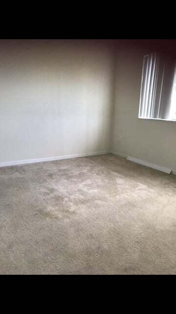 unfurnished room featuring carpet