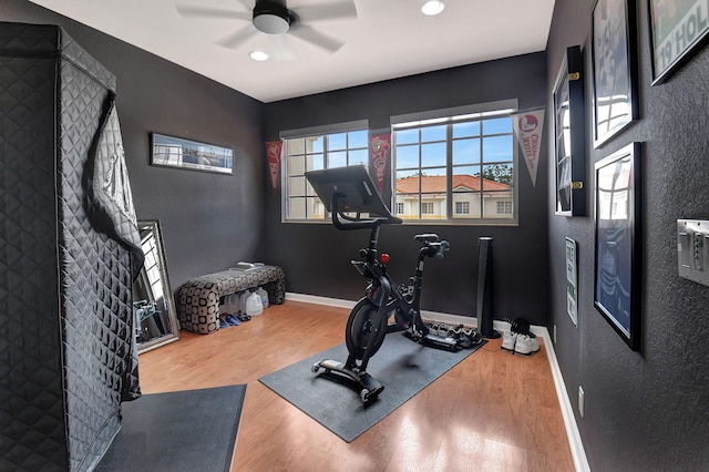 workout room with hardwood / wood-style floors and ceiling fan