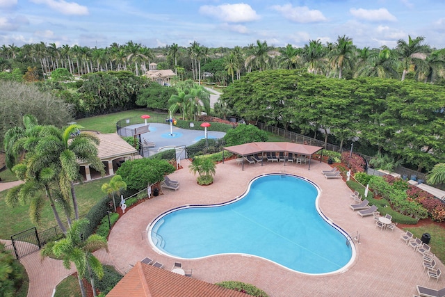 view of pool with a patio