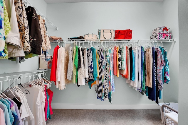 walk in closet featuring carpet floors