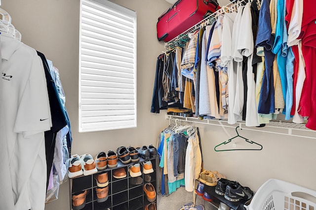 view of spacious closet