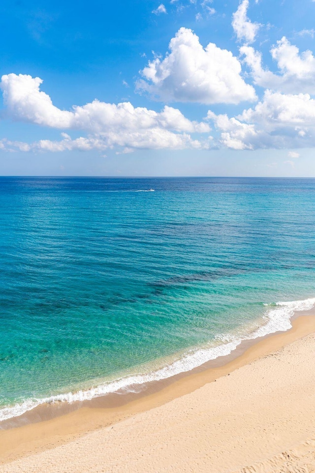 water view featuring a beach view