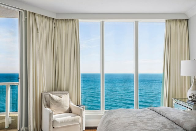 bedroom featuring a water view and multiple windows