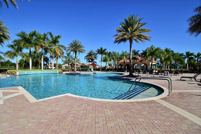 view of swimming pool featuring a patio