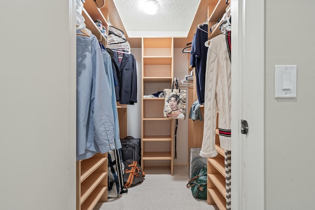 walk in closet with carpet flooring