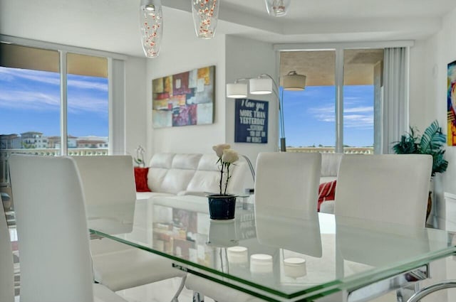 dining space with plenty of natural light