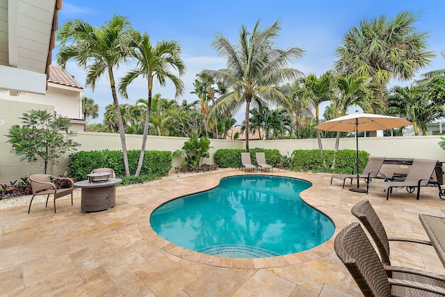 view of pool with a patio area