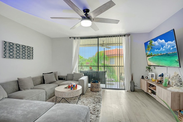 living room featuring expansive windows, ceiling fan, and light hardwood / wood-style flooring