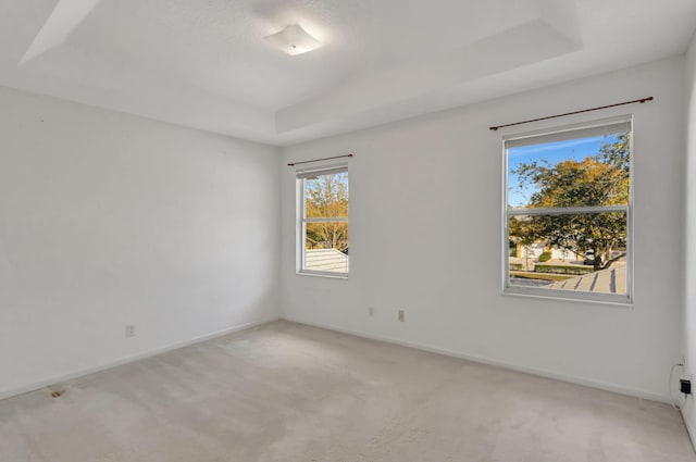 empty room featuring light colored carpet and a raised ceiling