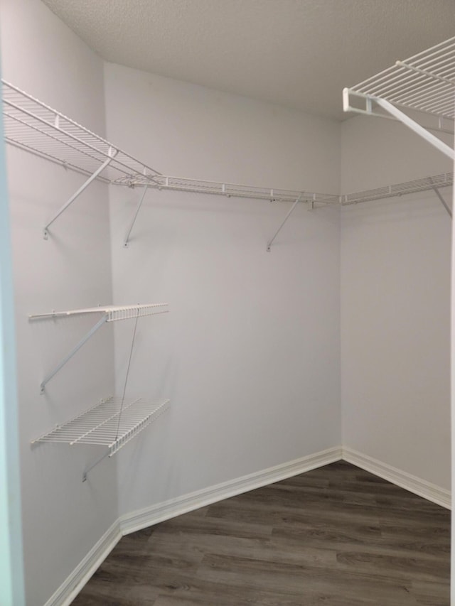 walk in closet featuring dark wood-type flooring