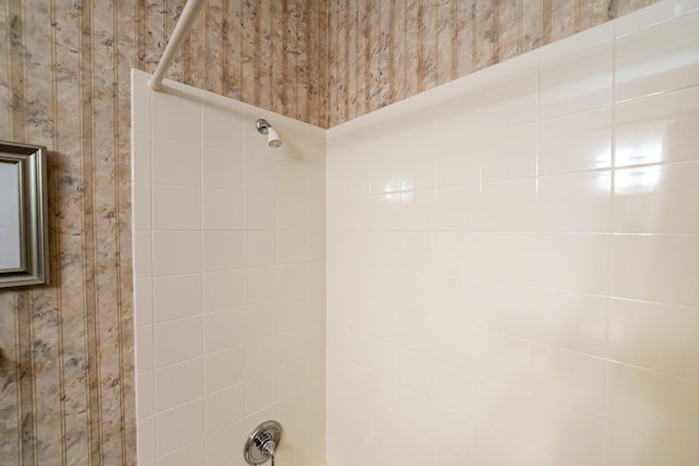 details featuring tiled shower / bath combo